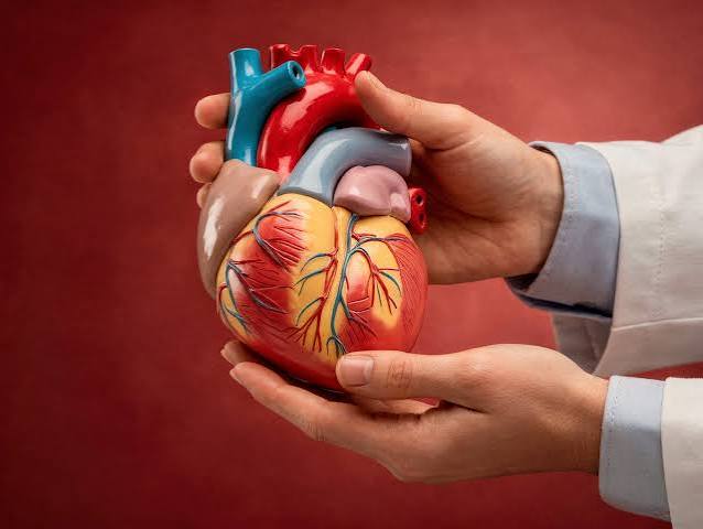 Medical management of prostate disorders